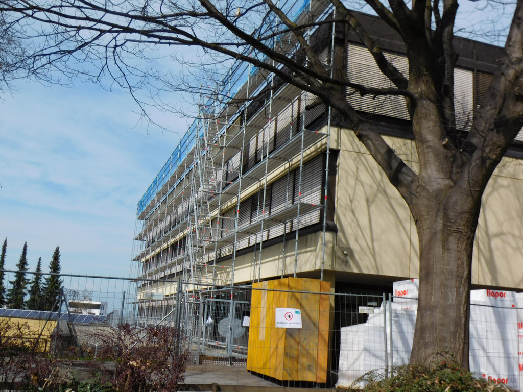 DSCI5617.JPG