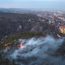 Waldbrand in Mödling