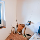 ABD0034-20210402.jpg