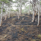 ABD0049-20210402.jpg