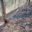 ABD0050-20210402.jpg