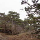 ABD0055-20210402.jpg