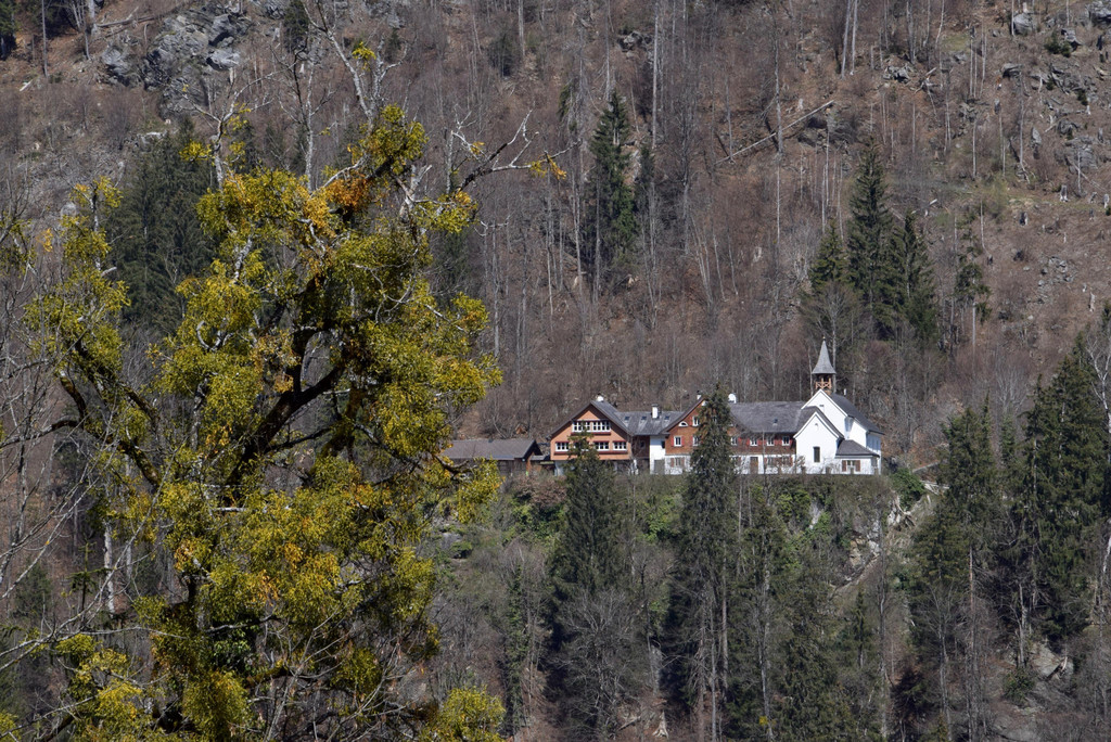 c_Scopoli_Gauenstein_0298.jpg