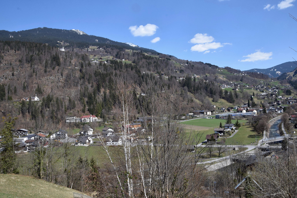 DSC_0306.jpg