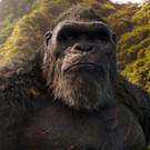 Film_-_Godzilla_vs_Kong_29116.jpg