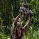 Film_-_Godzilla_vs_Kong_96368.jpg