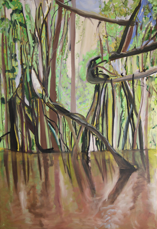 Amazonas-PAravan1.jpg