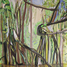 Amazonas-PAravan1.jpg