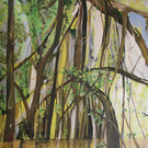 Amazonas-Paravan3.jpg