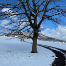 bild_von_ios_720 _1_.jpg