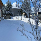 bild_von_ios_720.jpg
