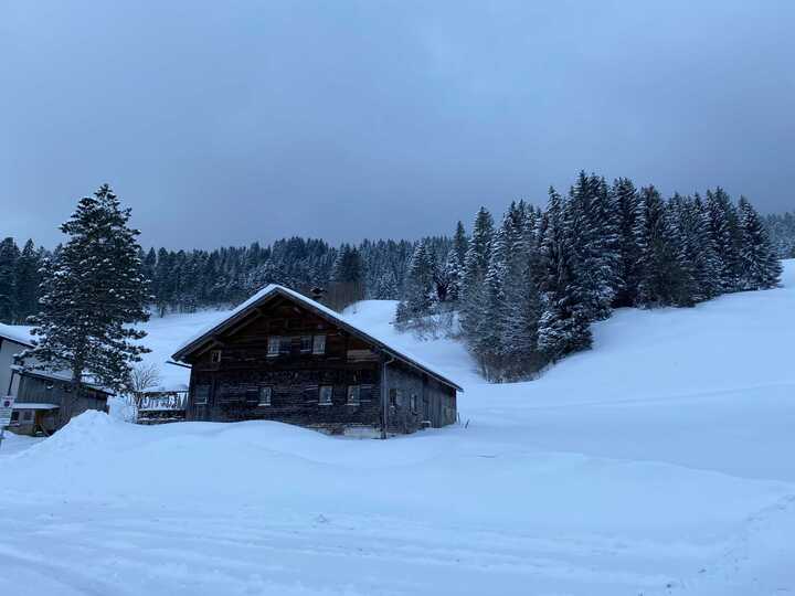 bild_von_ios_720 _3_.jpg