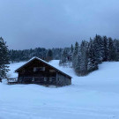 bild_von_ios_720 _3_.jpg
