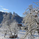 Wintereinbruch im Frühling