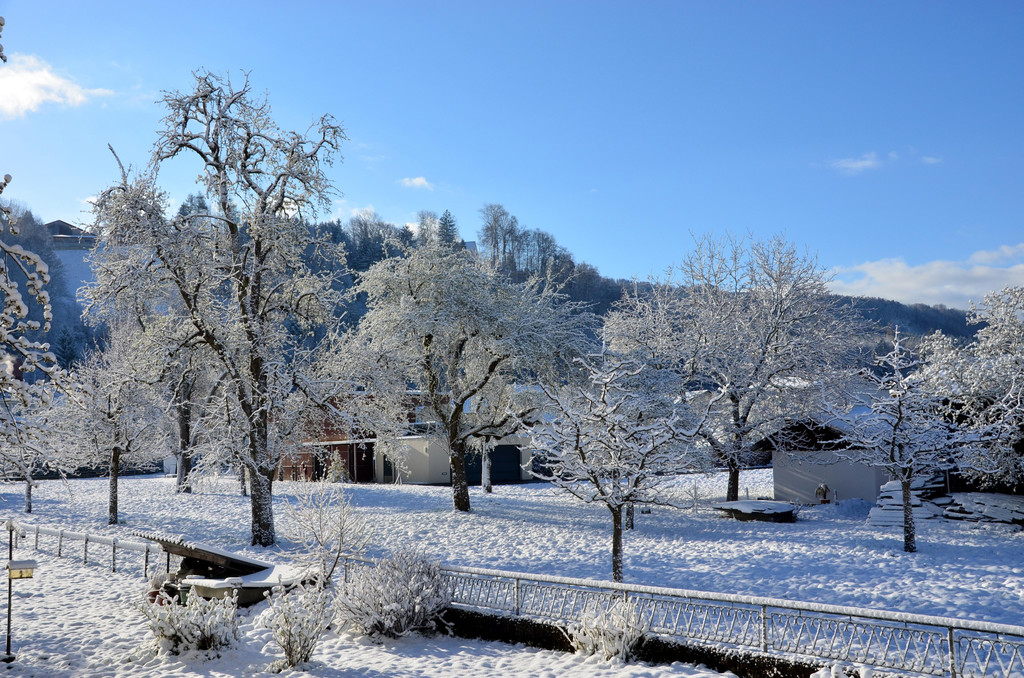 Winter 060421_3.JPG