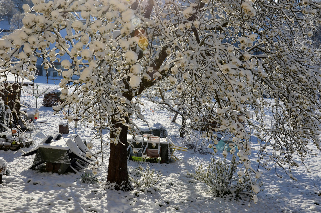 Winter 060421_4.JPG