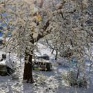 Winter 060421_4.JPG