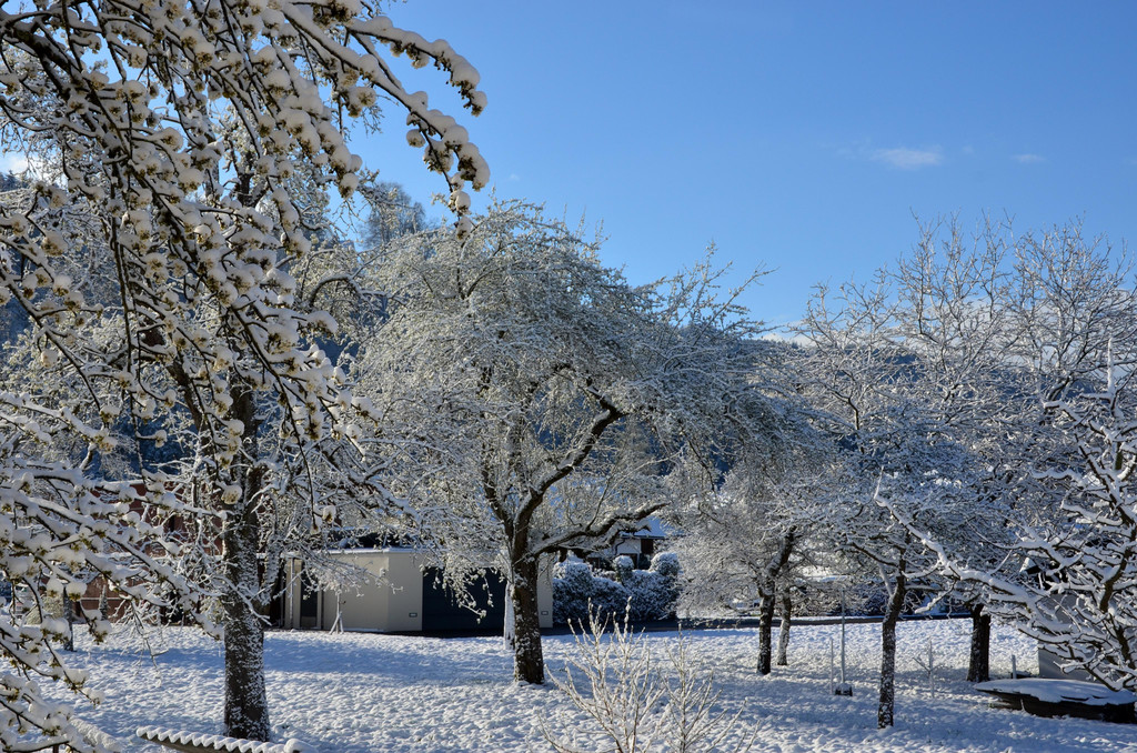Winter 060421_5.JPG