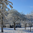 Winter 060421_5.JPG
