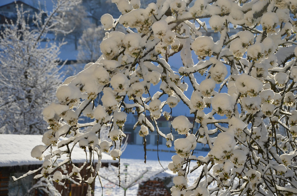 Winter 060421_6.JPG