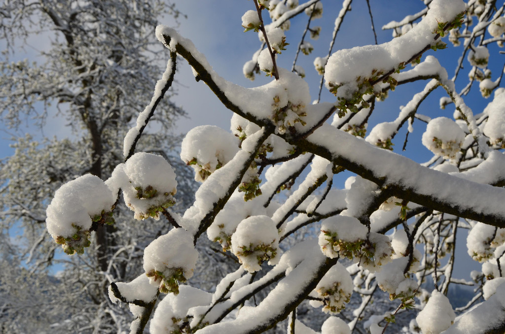 Winter 060421_8.JPG