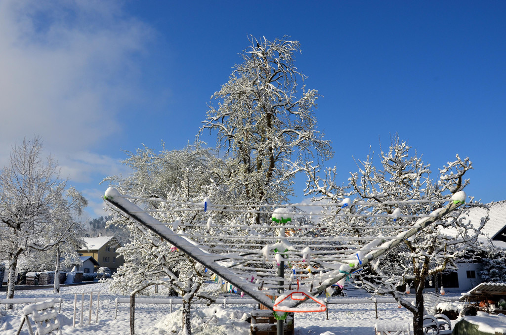 Winter 060421_9.JPG