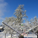 Winter 060421_9.JPG
