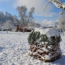 Winter 060421_10.JPG