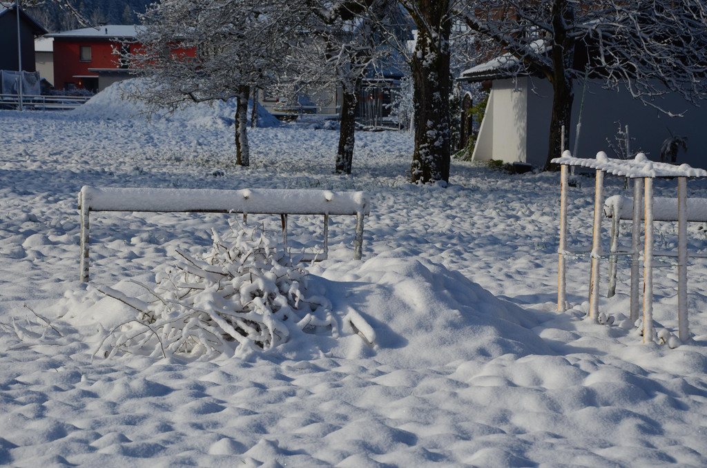 Winter 060421_12.JPG