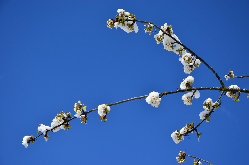 Winter 060421_13.JPG