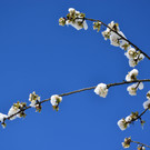 Winter 060421_13.JPG