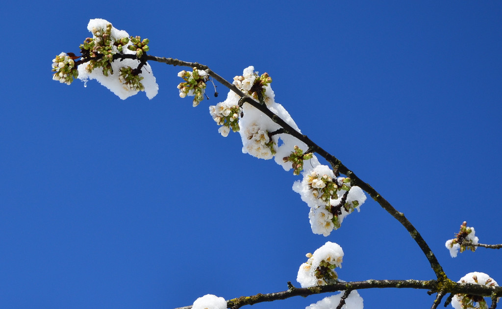 Winter 060421_14.JPG