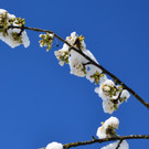 Winter 060421_14.JPG