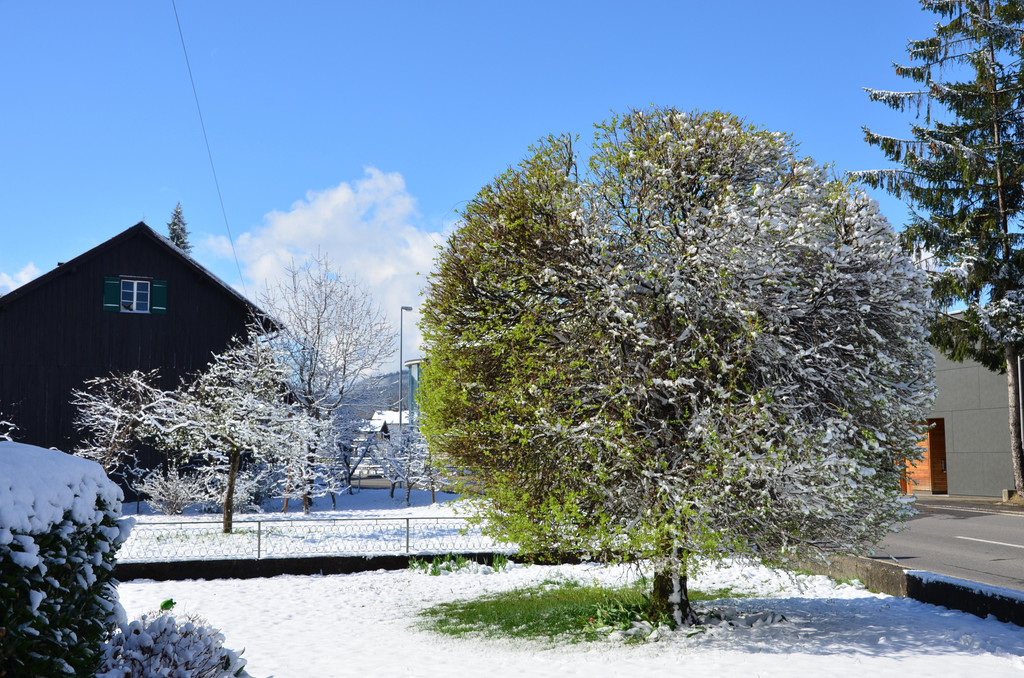 Winter 060421_15.JPG