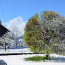Winter 060421_15.JPG