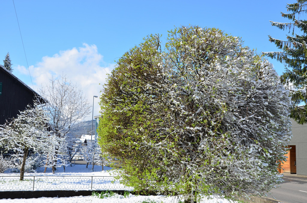Winter 060421_16.JPG