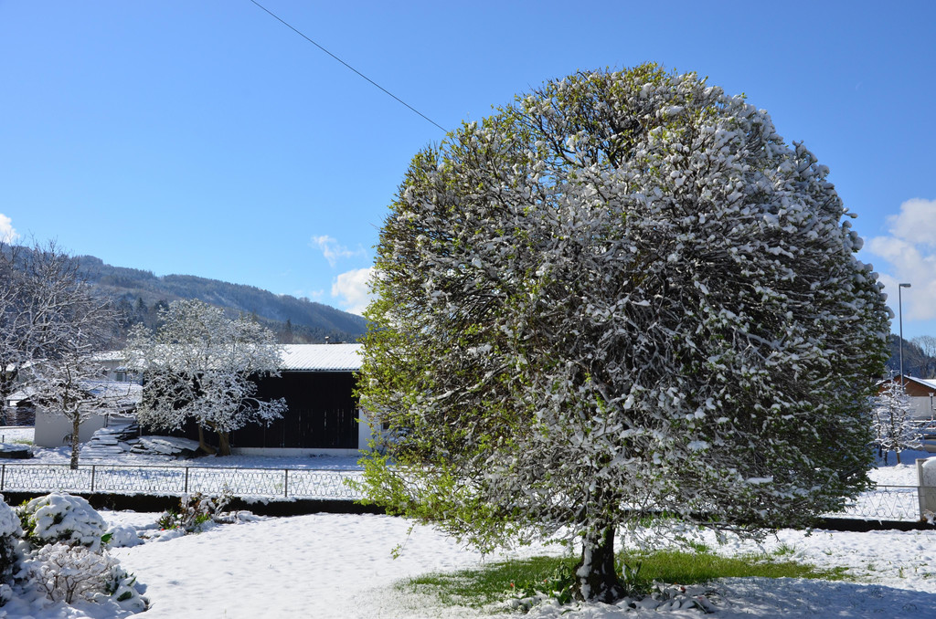 Winter 060421_17.JPG