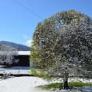 Winter 060421_17.JPG