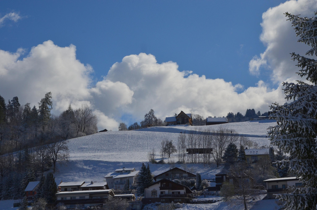 Winter 060421_18.JPG