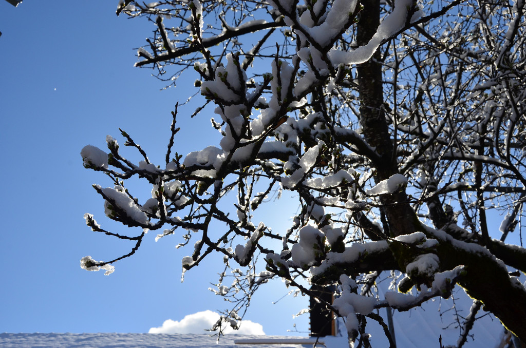 Winter 060421_19.JPG
