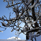 Winter 060421_19.JPG