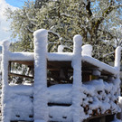 Winter 060421_21.JPG