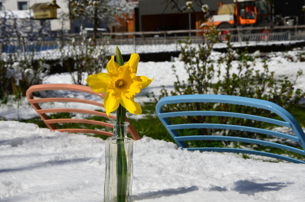 Winter 060421_23.JPG