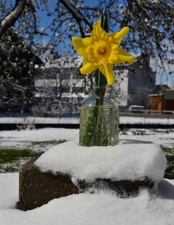 Winter 060421_24.JPG