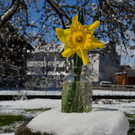 Winter 060421_24.JPG