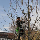 Fr__hjahrsputz _12_.JPG