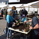 DSC_0176.JPG