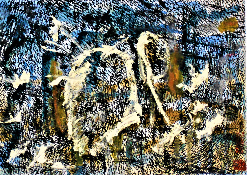 DSCN7624.jpg