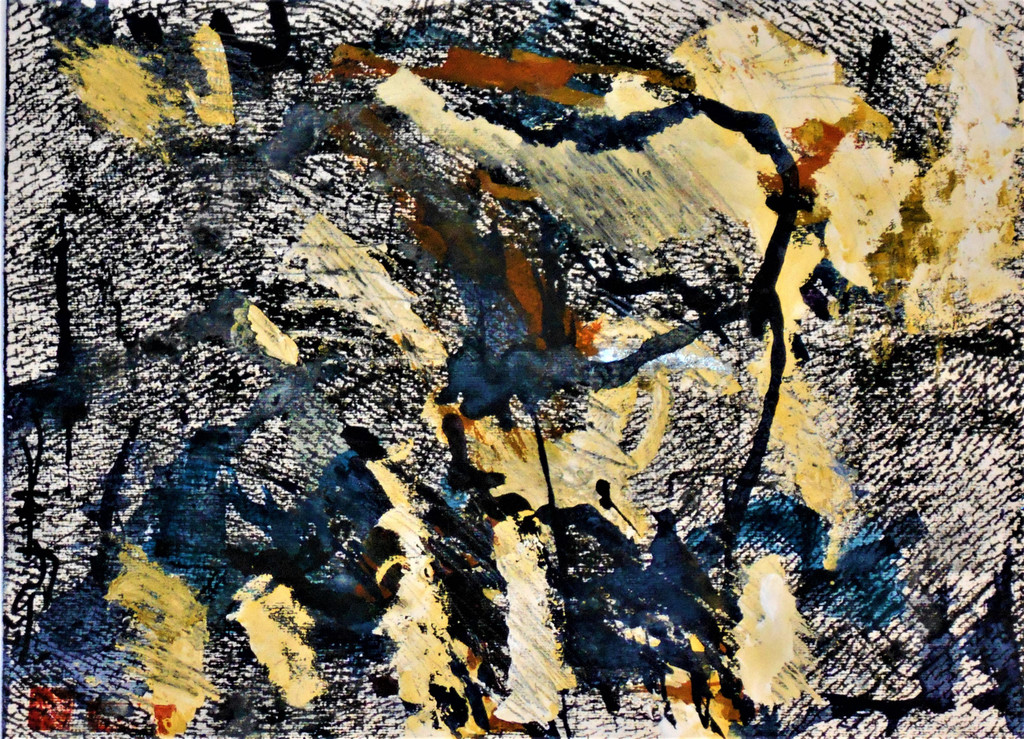 DSCN7646.jpg