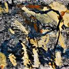 DSCN7646.jpg